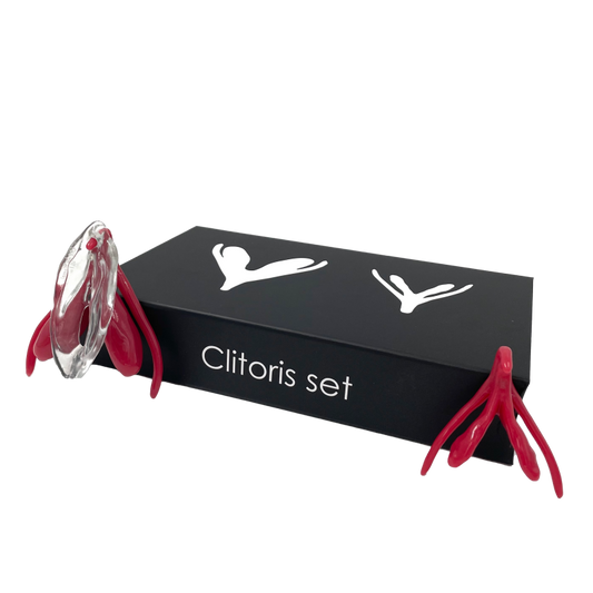 Clitoris Set - Flaccid & Erect + Vulva